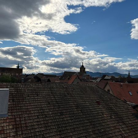 Colmar City Center - Appartement Belle-Vue 4 Etoiles Bagian luar foto