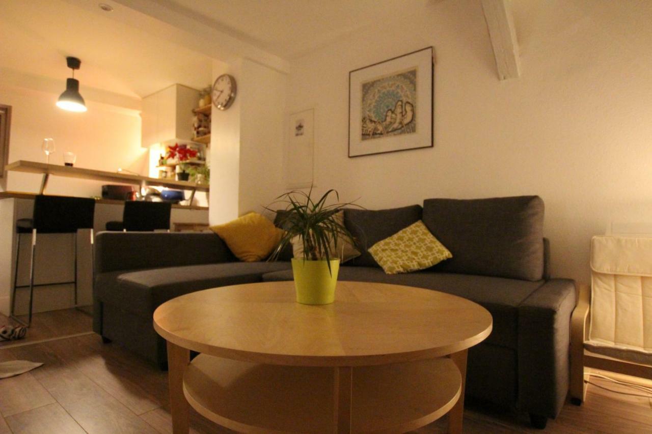 Colmar City Center - Appartement Belle-Vue 4 Etoiles Bagian luar foto