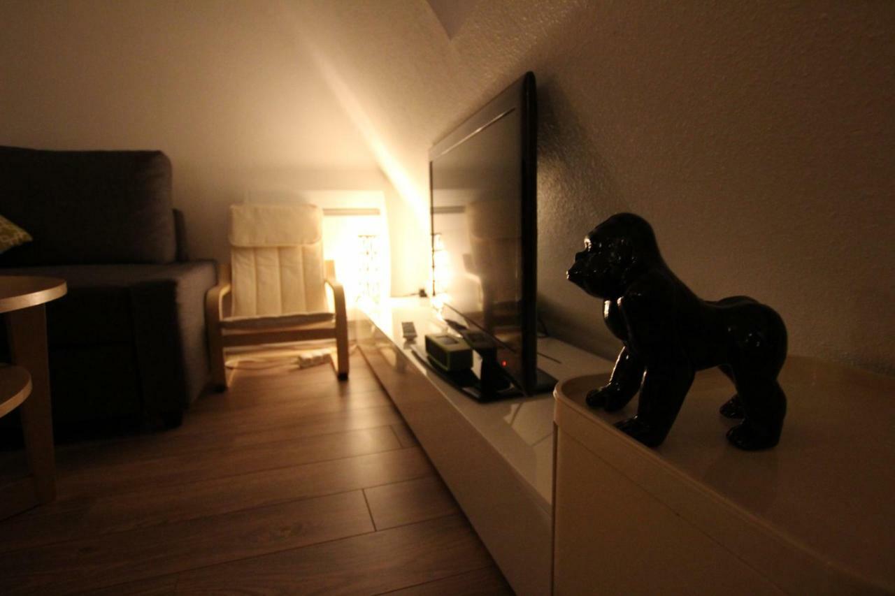 Colmar City Center - Appartement Belle-Vue 4 Etoiles Bagian luar foto