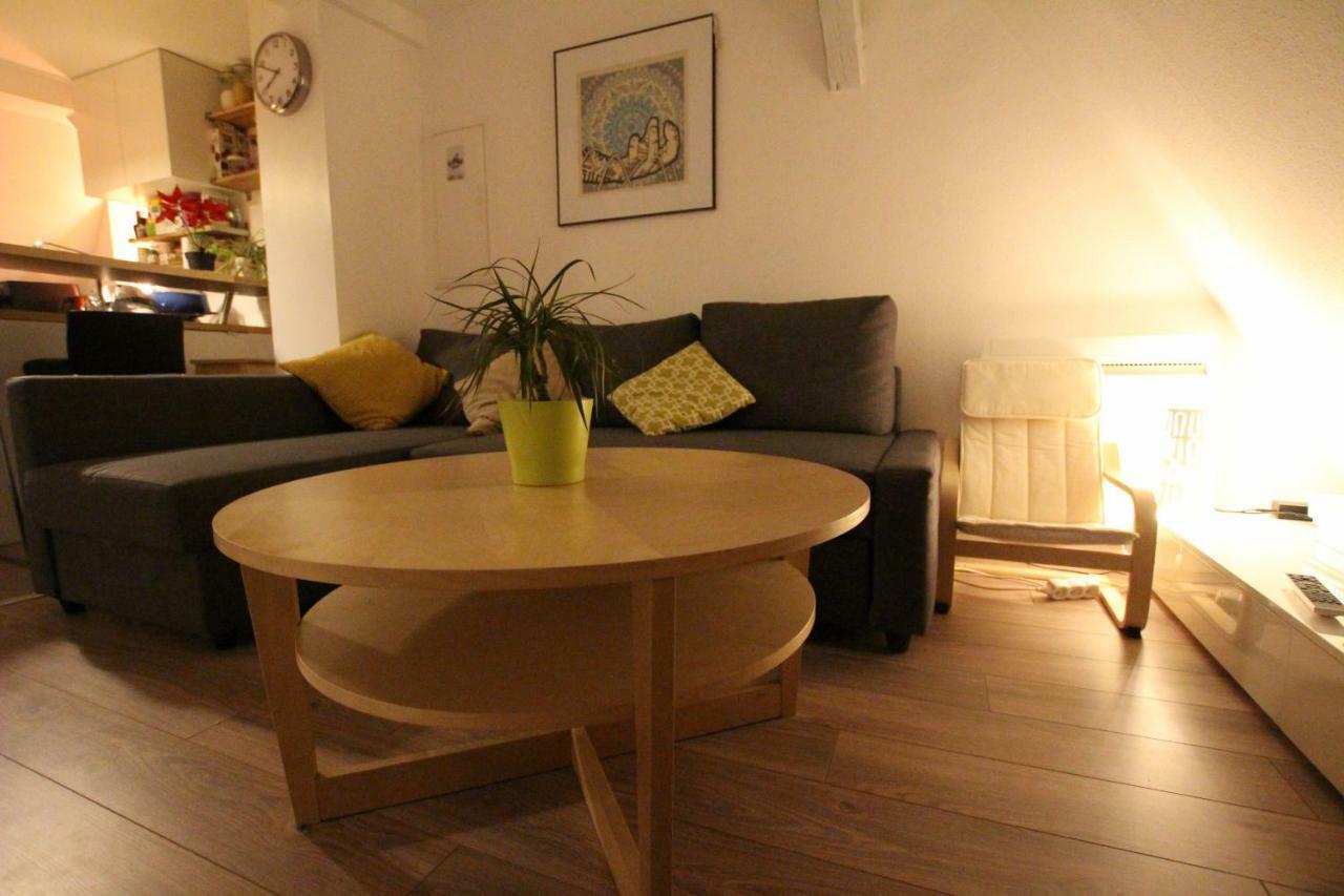 Colmar City Center - Appartement Belle-Vue 4 Etoiles Bagian luar foto